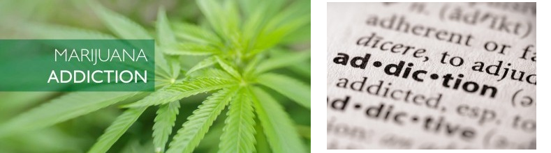 Addiction To Marijuana (Cannabis) Rehabilitation 