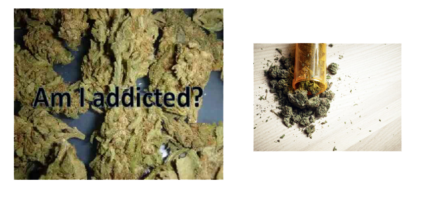 am i addicted to weed