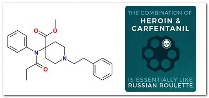 elephant tranquilizers in heroin, heroin and carfentanil