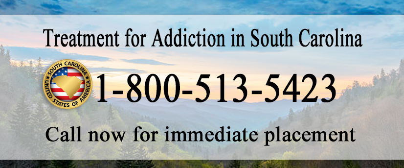 Addiction Treatment Facilities in South Carolina