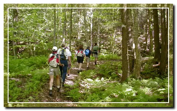 group outings in rehab, hiking, outdoor activities