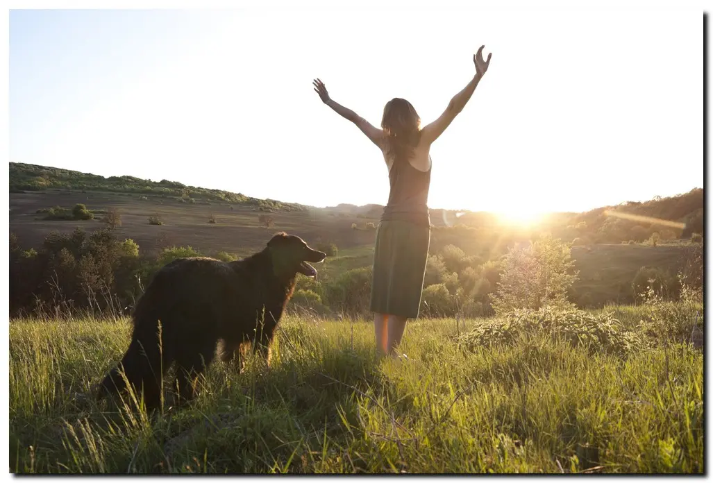 Woman in victory pose and dog in a field with sunset, after going to pet friendly Dual Diagnosis Treatment Programs in Tennessee