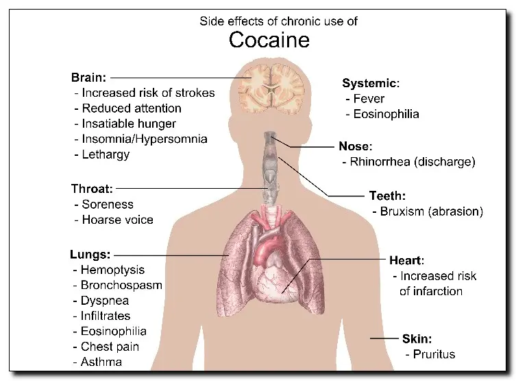 cocaine side effects chart