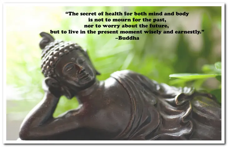 “The secret of health for both mind and body is not to mourn for the past, worry about the future, or anticipate troubles, but to live in the present moment wisely and earnestly.” Buddha