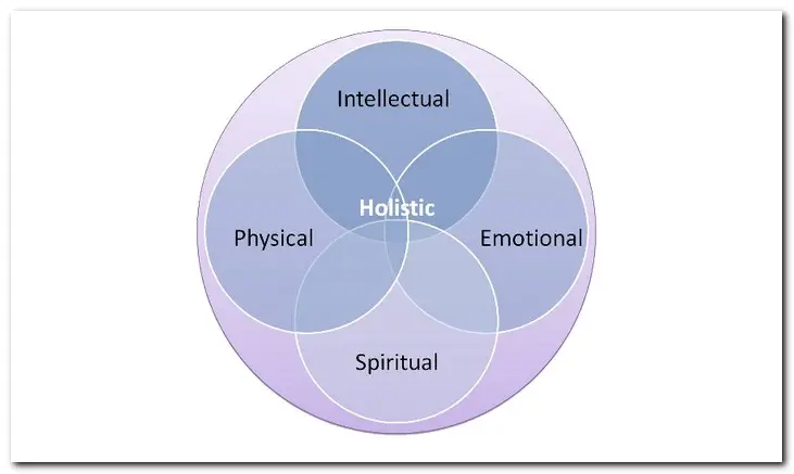 Holistic Drug Rehab Centers in North Dakota for addiction heals the intellectual, emotional spiritual an physical body