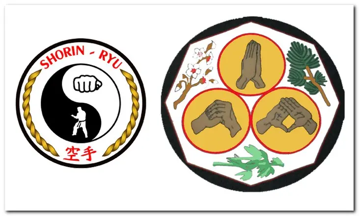 There are many different karate systems developed by Okinawans, Japanese, and more recently Western instructors. The “big four” styles are Shotokan, Wado Ryu, Goju Ryu, and Shito Ryu.