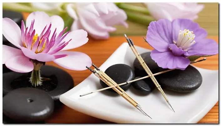 acupuncture needles and purple flowers