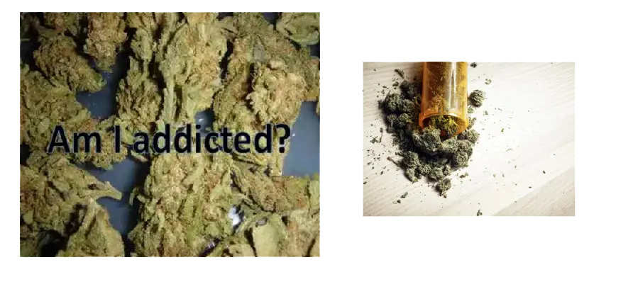 Am I addicted to weed? Learn the symptoms of becoming dependent on marijuana and get help in Marijuana Abuse Treatment Programs in Arkansas.