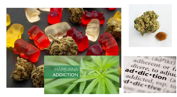 Edibles are a form of marijuana that has been infused into food products. These edibles often look like regular candies, sweets or snacks. Marijuana Abuse Treatment Programs in North Carolina can help you overcome addiction to marijuana.