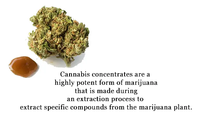 Cannabis concentrates are a highly potent form of marijuana that are made during an extraction process to extract specific compounds from the marijuana plant. The concentrates this process yields comes in different forms diamonds, wax, budder, shatter, and oils.