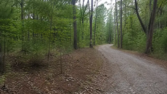 Wooded walking trail in Alabama